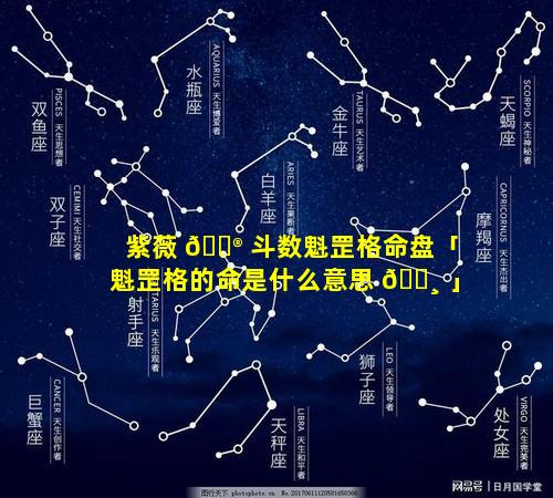 紫薇 💮 斗数魁罡格命盘「魁罡格的命是什么意思 🕸 」
